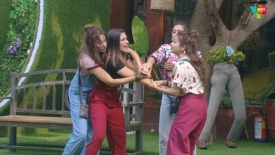 Bigg Boss 13 – Episode 16 – Bagga vs Bahuein: The Bigg Tiff