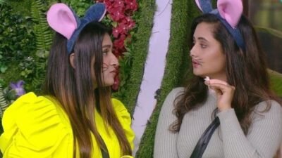 Bigg Boss 13 – Episode 79 – Ghar mein hua chuhe billi ka khel