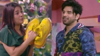 Bigg Boss 13 – Episode 88 – Paras duvidha mein