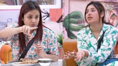 Bigg Boss 13 – Episode 94 – Mahira Shehnaz ki dosti ka the end?